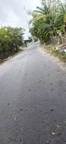 Bất động sản tại Vĩnh Long - ảnh 1