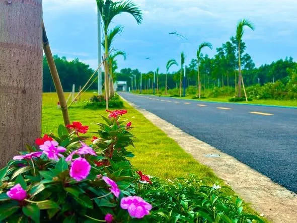 Bất động sản tại Bình Dương - ảnh 1