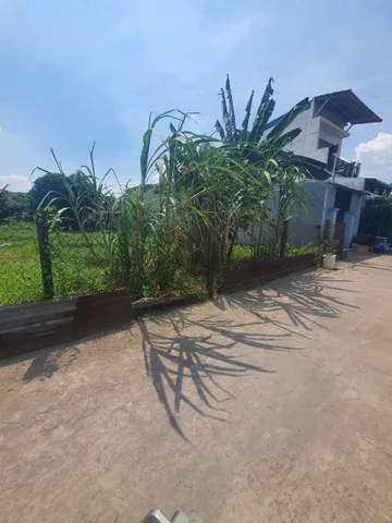 Bất động sản tại Bình Dương - ảnh 1