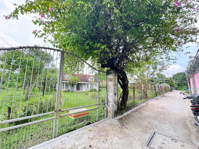 Bất động sản tại Long An - ảnh 1
