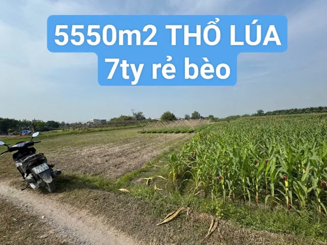 Bất động sản tại Tây Ninh - ảnh 1