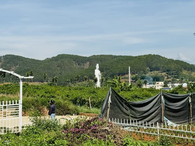 Bất động sản tại Lâm Đồng - ảnh 1