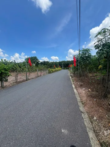 Bất động sản tại Bình Dương - ảnh 1