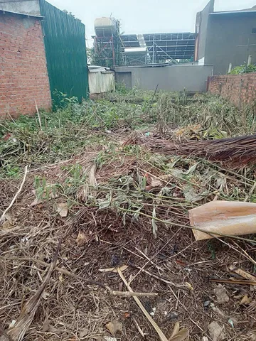 Bất động sản tại Đắk Lắk - ảnh 1