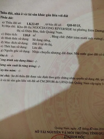 Bất động sản tại Đà Nẵng - ảnh 1