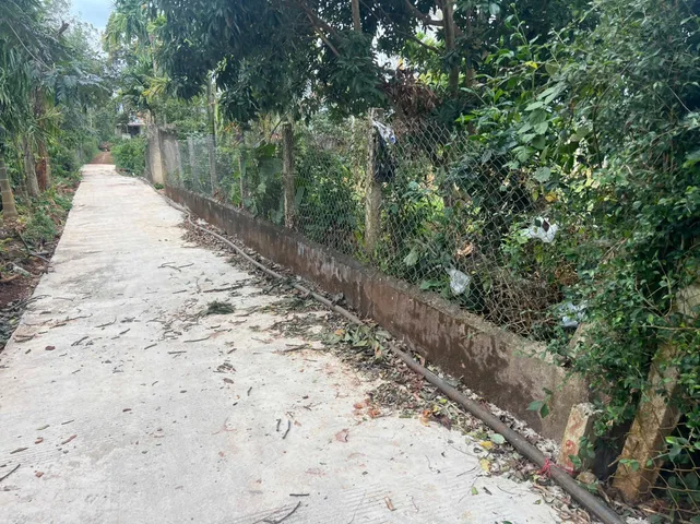 Bất động sản tại Đắk Lắk - ảnh 1