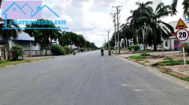 Bất động sản tại Long An - ảnh 1