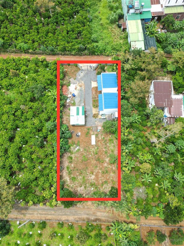Bất động sản tại Lâm Đồng - ảnh 1