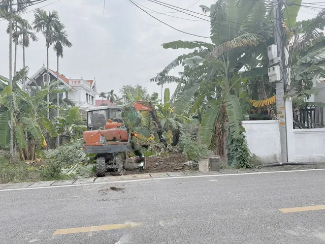 Bất động sản tại Hải Phòng - ảnh 1