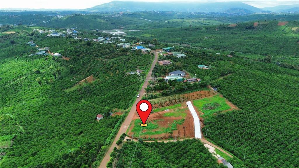 Bất động sản tại Lâm Đồng - ảnh 1