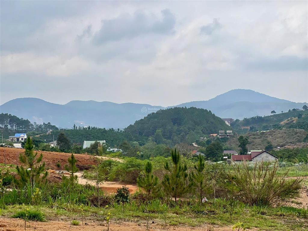 Bất động sản tại Lâm Đồng - ảnh 1