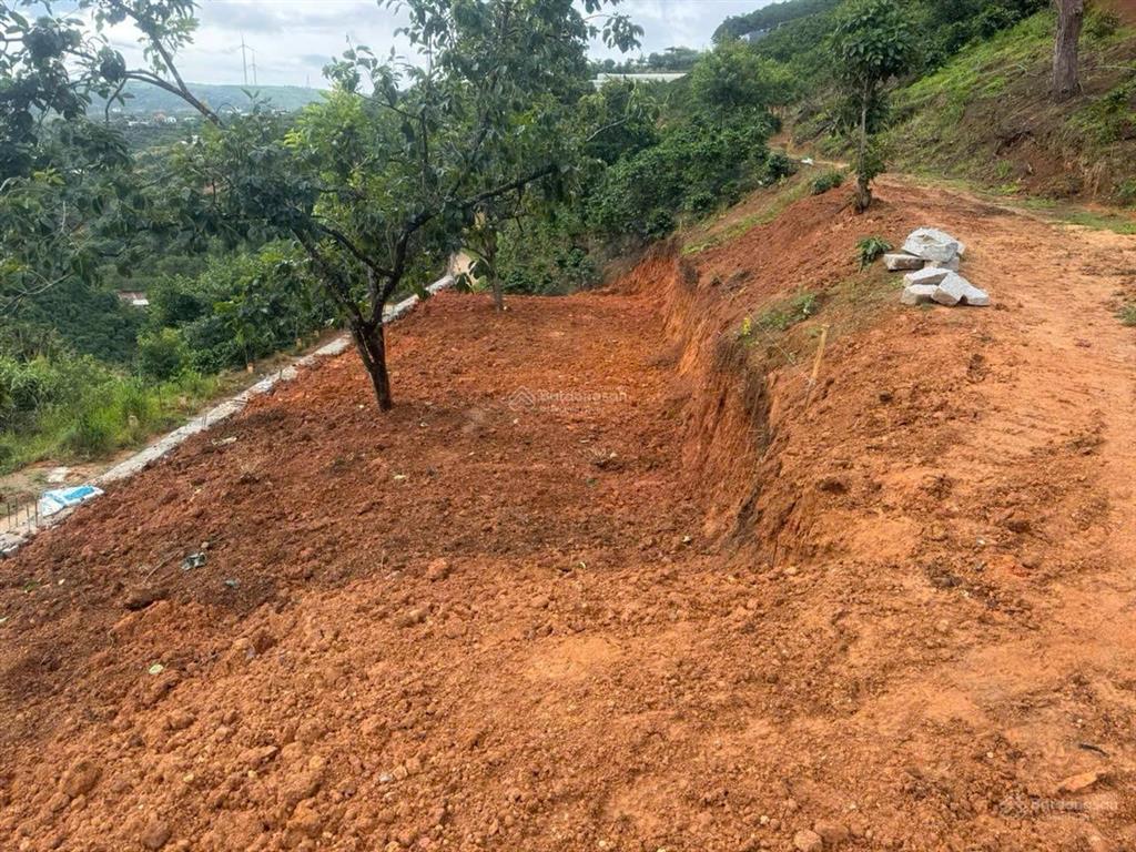 Bất động sản tại Lâm Đồng - ảnh 1