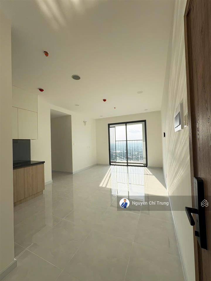Bất động sản tại Bình Dương - ảnh 1