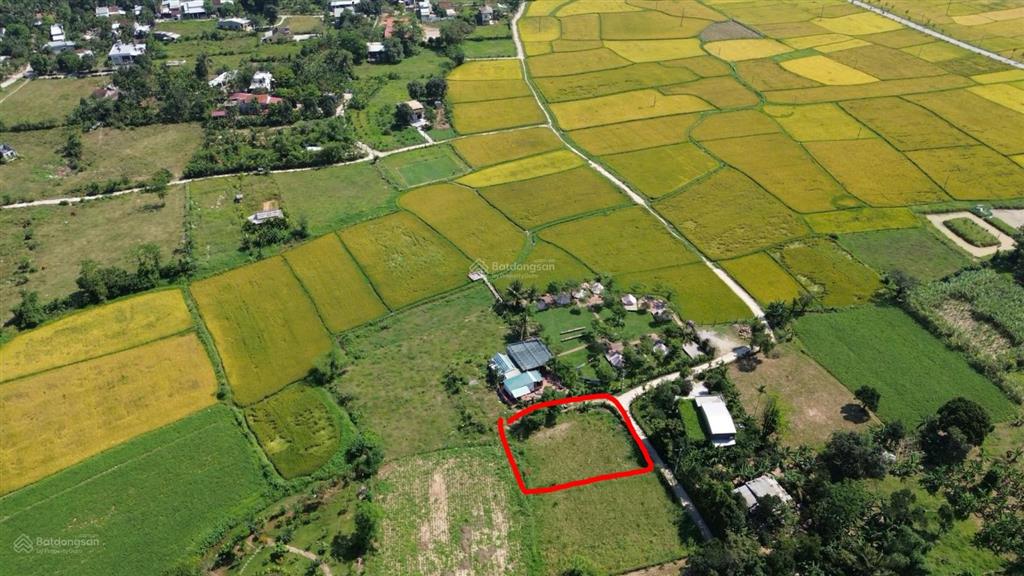 Bất động sản tại Đà Nẵng - ảnh 1
