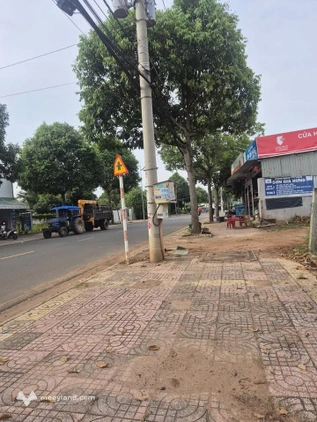 Bất động sản tại Bà Rịa - Vũng Tàu - ảnh 1