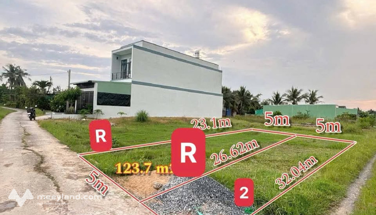 Bất động sản tại Long An - ảnh 1