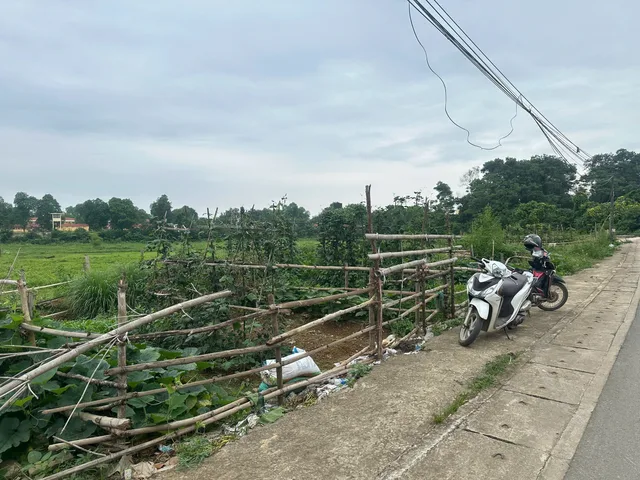 Bất động sản tại Hà Nội - ảnh 1