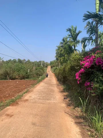 Bất động sản tại Đắk Lắk - ảnh 1