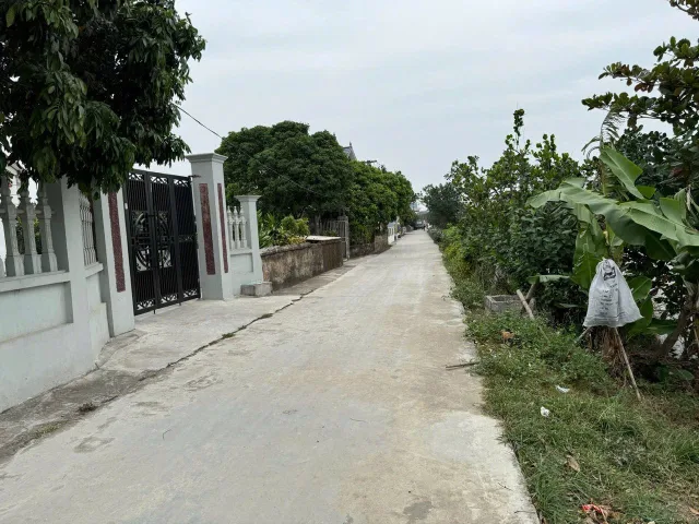 Bất động sản tại Hưng Yên - ảnh 1