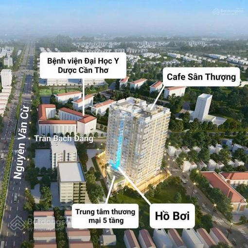 Bất động sản tại Cần Thơ - ảnh 1