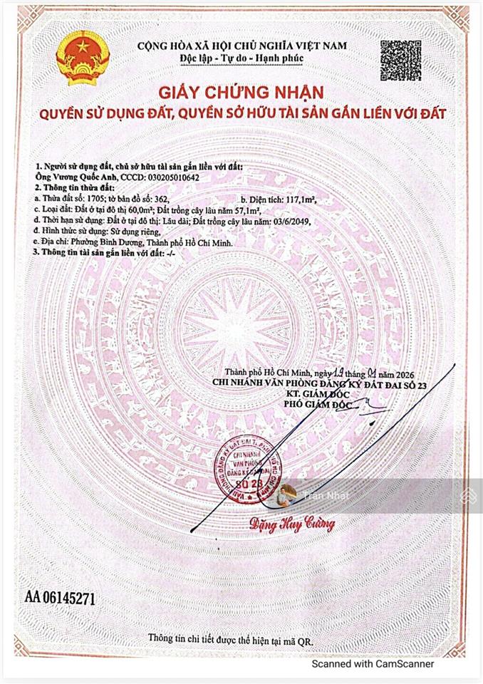 Bất động sản tại Bình Dương - ảnh 1