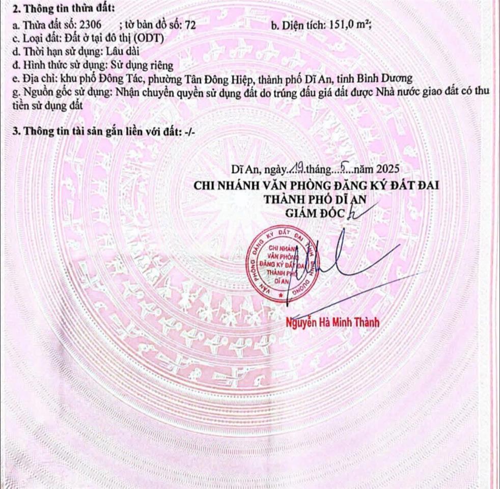 Bất động sản tại Bình Dương - ảnh 1