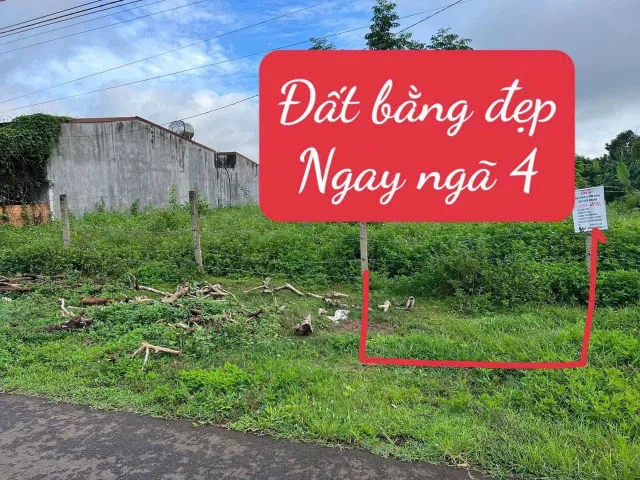 Bất động sản tại Đắk Lắk - ảnh 1