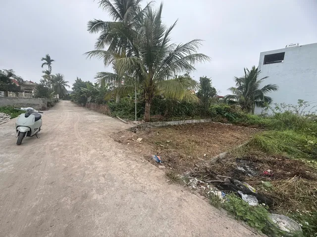 Bất động sản tại Hải Phòng - ảnh 1