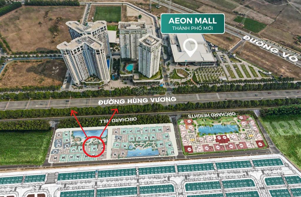 Bất động sản tại Bình Dương - ảnh 1