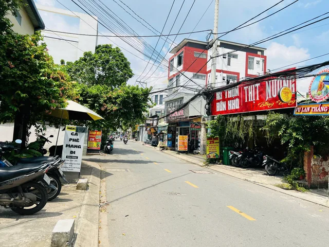 Bất động sản tại TP. Hồ Chí Minh - ảnh 1
