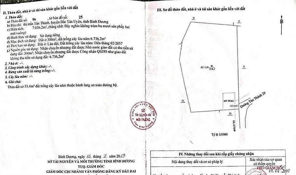 Bất động sản tại Bình Dương - ảnh 1