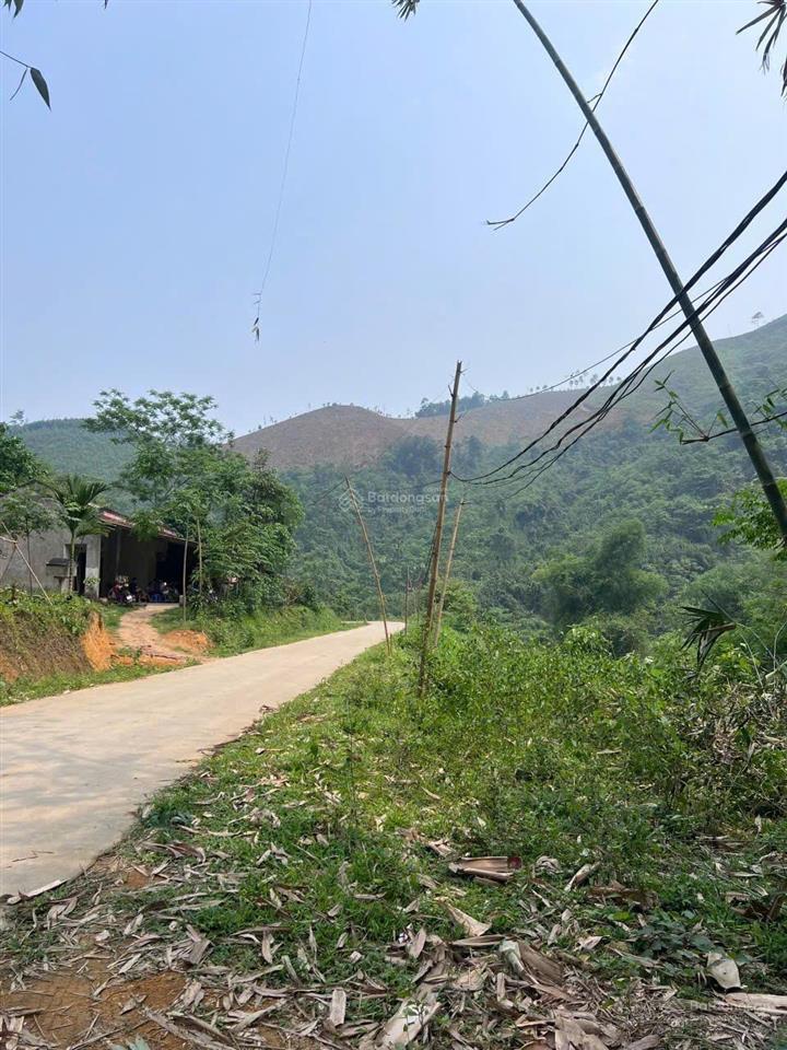 Bất động sản tại Phú Thọ - ảnh 1