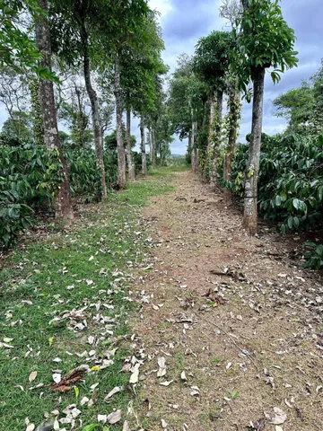 Bất động sản tại Đắk Lắk - ảnh 1