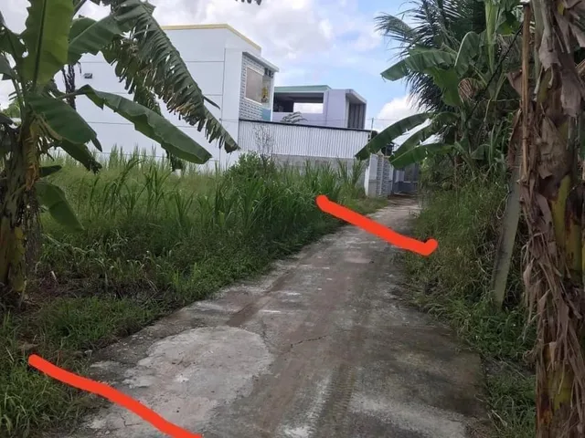 Bất động sản tại Bến Tre - ảnh 1