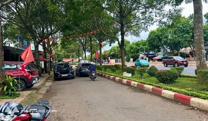 Bất động sản tại Đắk Lắk - ảnh 1