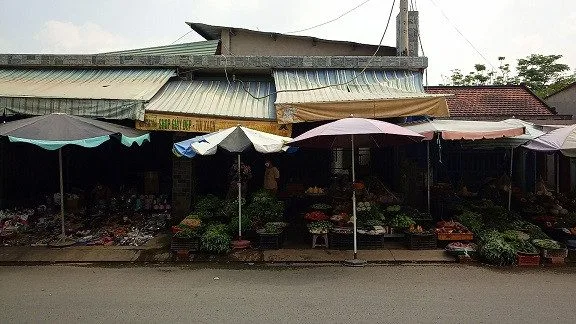 Bất động sản tại TP. Hồ Chí Minh - ảnh 1