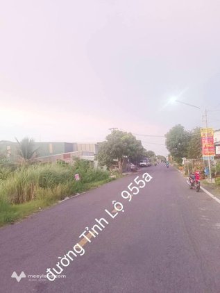 Bất động sản tại An Giang - ảnh 1