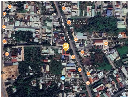 Bất động sản tại Bình Dương - ảnh 1
