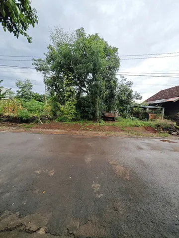 Bất động sản tại Đắk Lắk - ảnh 1