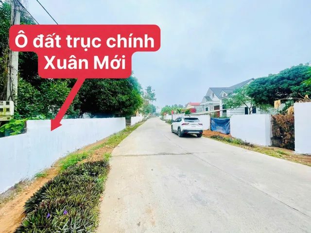 Bất động sản tại Vĩnh Phúc - ảnh 1