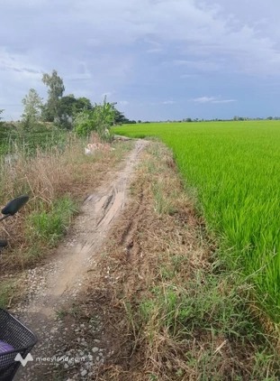 Bất động sản tại An Giang - ảnh 1
