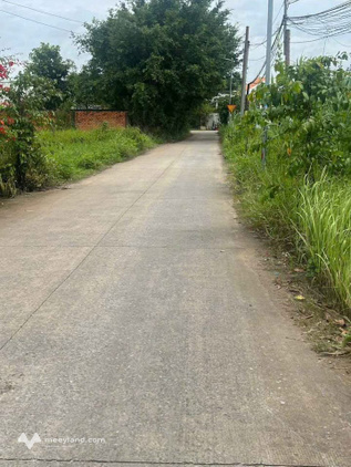 Bất động sản tại Long An - ảnh 1