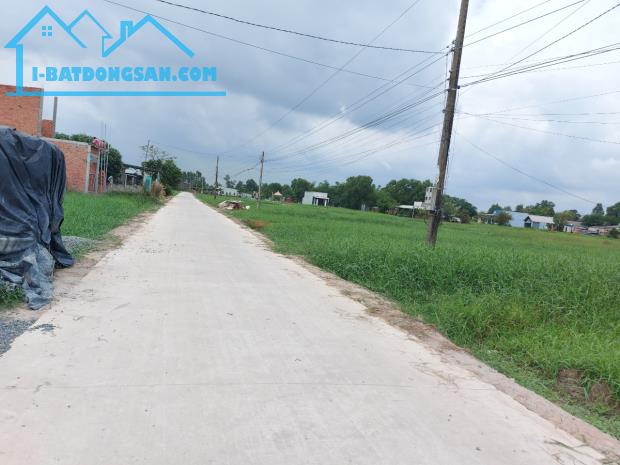 Bất động sản tại Long An - ảnh 1