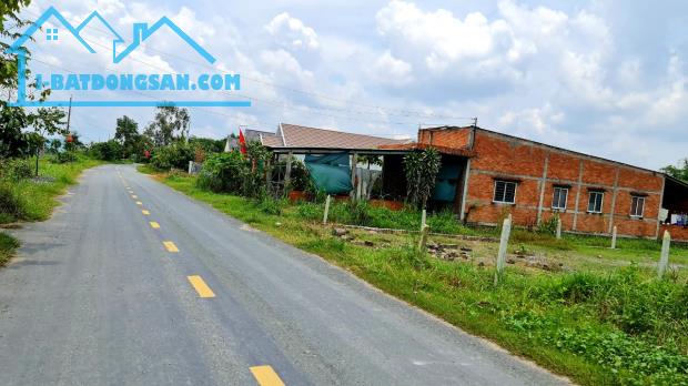 Bất động sản tại Long An - ảnh 1
