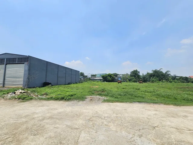 Bất động sản tại Bình Phước - ảnh 1