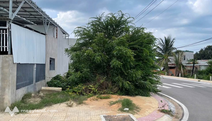 Bất động sản tại Ninh Thuận - ảnh 1