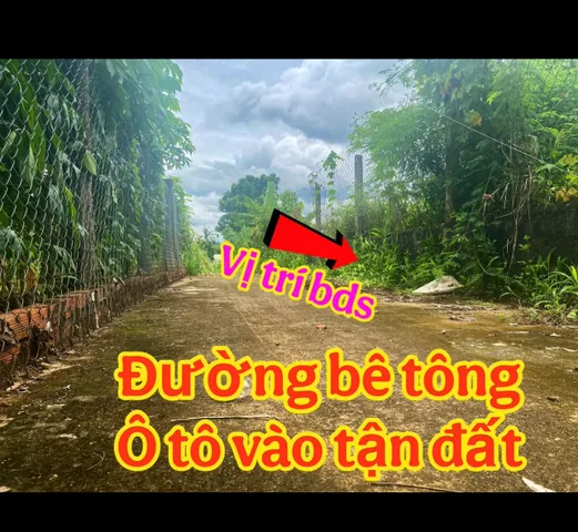 Bất động sản tại Đắk Lắk - ảnh 1