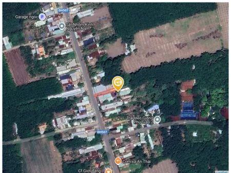 Bất động sản tại Bình Dương - ảnh 1