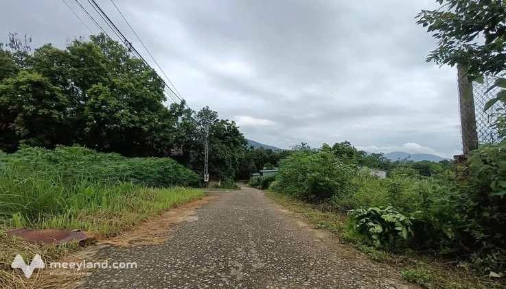 Bất động sản tại Phú Thọ - ảnh 1
