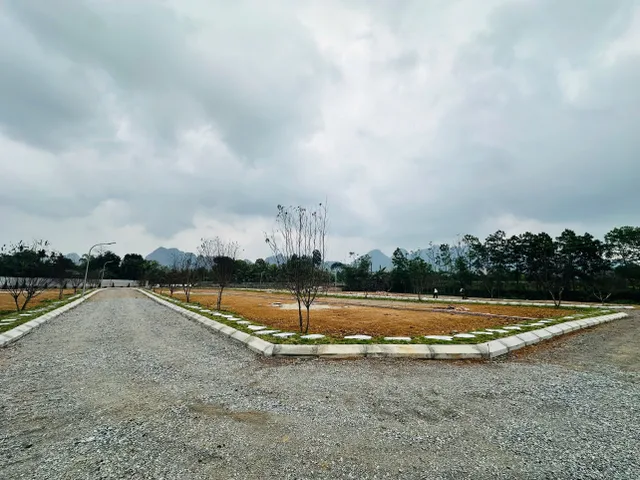 Bất động sản tại Phú Thọ - ảnh 1